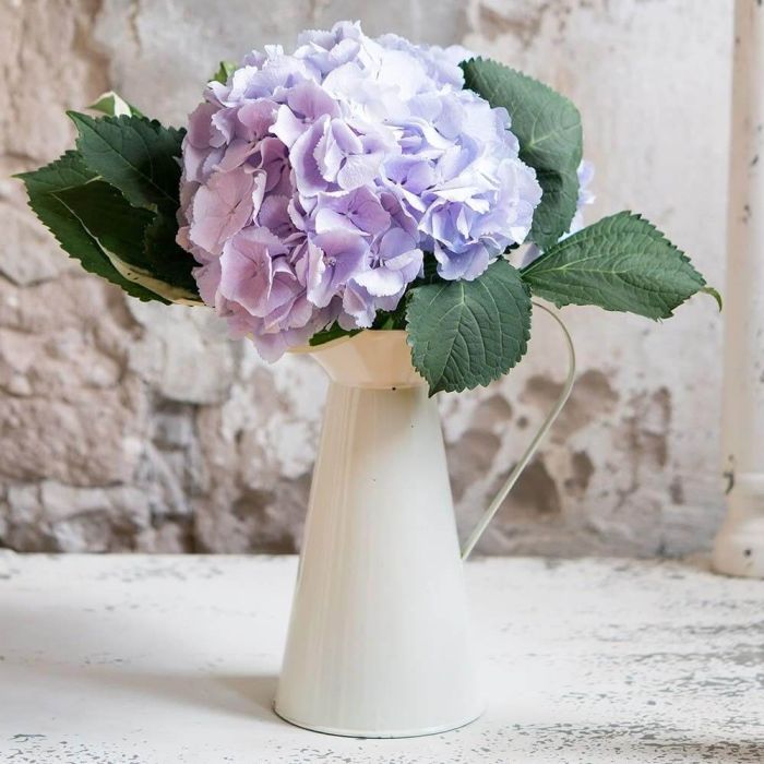 French Provencial Style Enamel Pitcher - Thumbnail 3