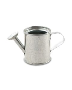 Miniature Metal Watering Cans (set of 12)