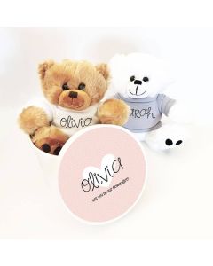 Custom Teddy Bear Gift
